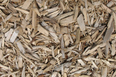 biomass boilers Alciston